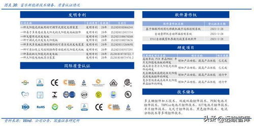 星帥爾 家電零部件龍頭業(yè)務(wù)穩(wěn)固，積極拓展光儲新賽道